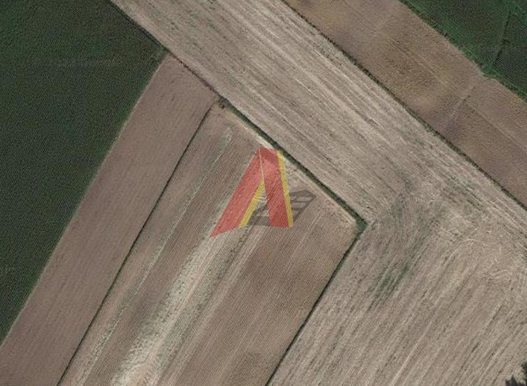 Działka Pałecznica ul. Pałecznica Pałecznica