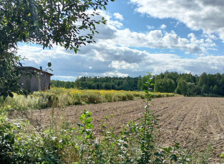 Działka w Piasecznie Piaseczno