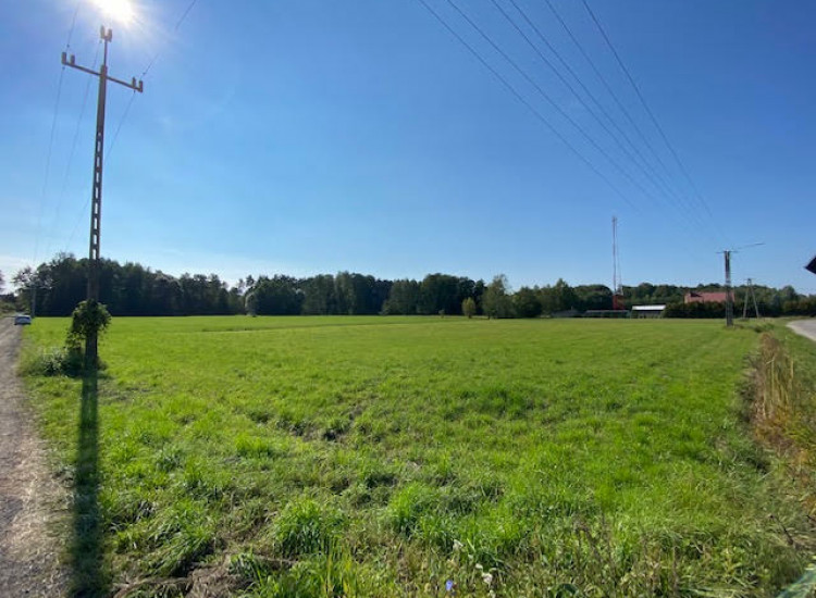 Działka na sprzedaż 1,82ha Goździówka gm. Stanisławów. Wystąpiono o warunki zabudowy Goździówka
