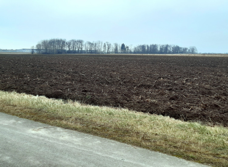 Działka przy drodze S8 pow. 8931m2 Tyniec Mały Domasław Bielany Wr. Tyniec Mały