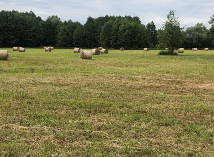 Na sprzedaż działka rolna o powierzchni 7800 m² Krzymów