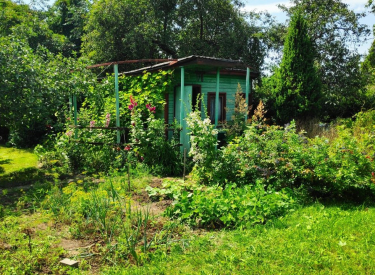 Sprzedam działkę na ROD im. Marii Konopnickiej (os. Dziesięciny / Białostoczek) Białystok