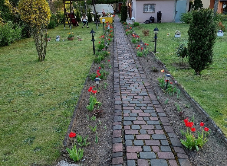 Działka ROD w Tarnowskich Górach Tarnowskie Góry
