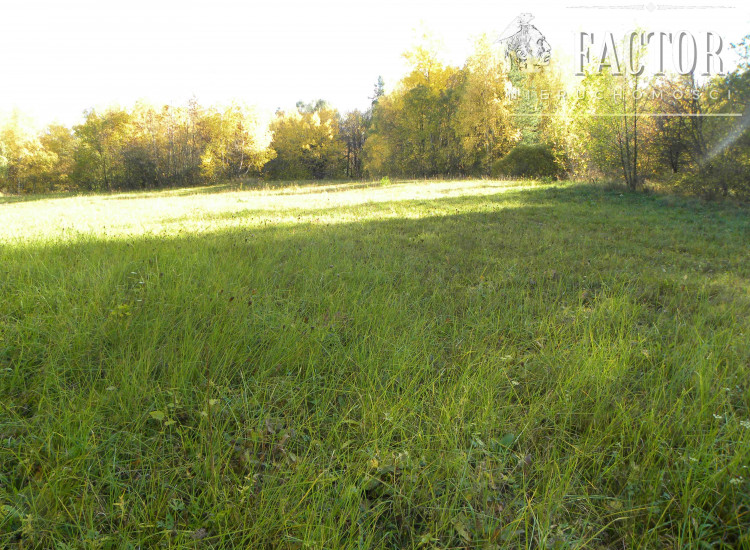 Rozdziele, działka rolna, 1,58 ha, 1071S/2022 Rozdziele