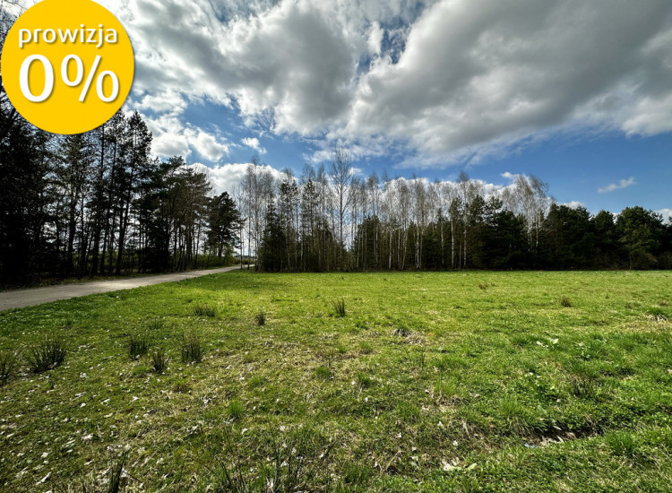 Henrykowo 0% Prowizji Brak PCC 2% 0 zł Notariusz Henrykowo