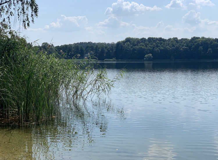 Sprzedam działki nad jeziorem Przytoń