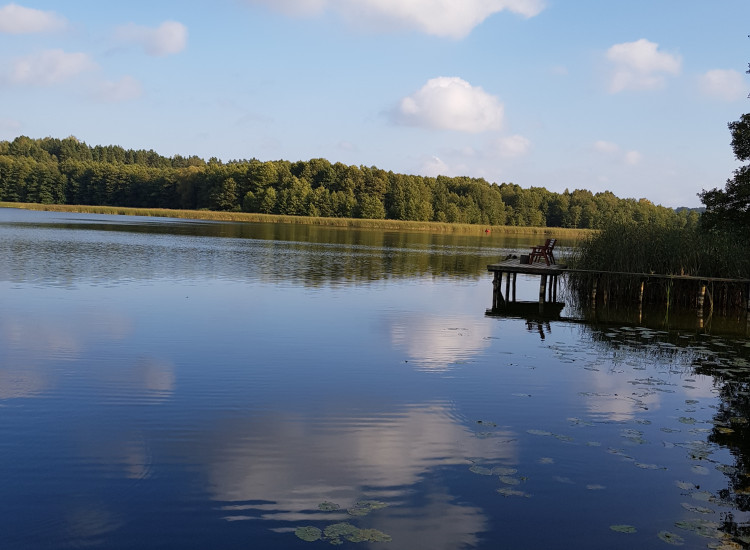 Działka rekreacyjna nad Jeziorem Pierwoj Kamionka