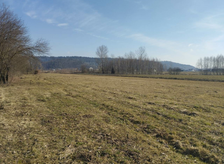 Dwie piękne działki o łącznej pow. 1.78 ha graniczące z rzeką Wisłoka. Wyjątkowe miejsce! Jasło