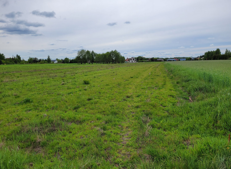 Czeczotki gm. Czosnów 879 m2 i inne powierzchnie Czeczotki