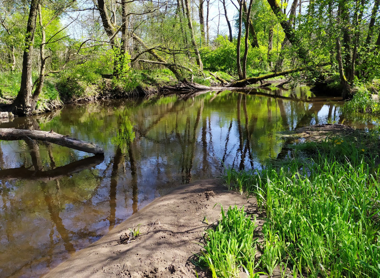 Sprzedam działkę nad rzeką Bocheniec