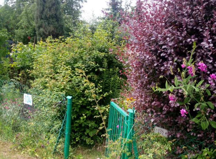Sprzedam ogródek ROD Wrocław