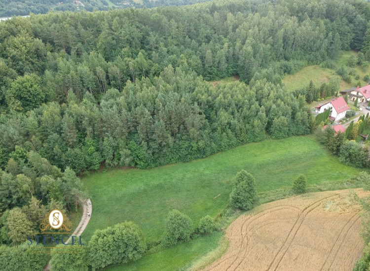Piękny teren przy jeziorze Brodnica Kaszuby Brodnica Górna
