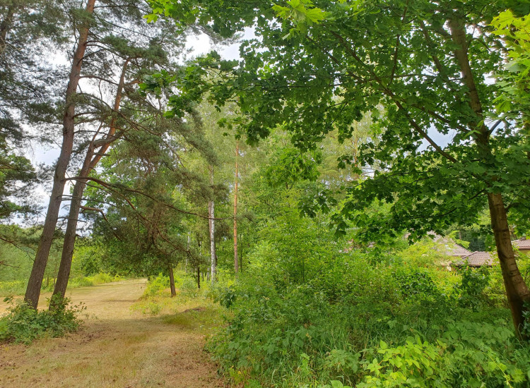 Działka Wiązowna Wiązowna