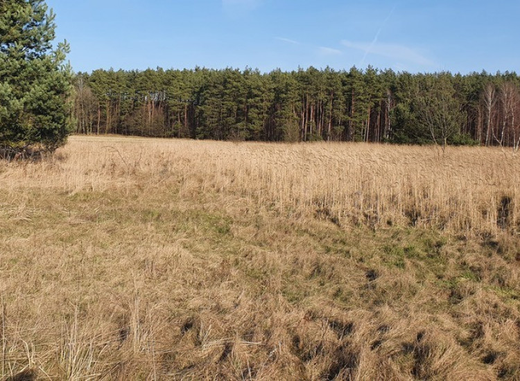 Bądź pierwszy! Wybierz piękną działkę. Białuń