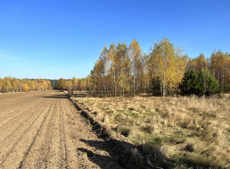 Działka rolna 4317 m2, gmina Czosnów Jesionka