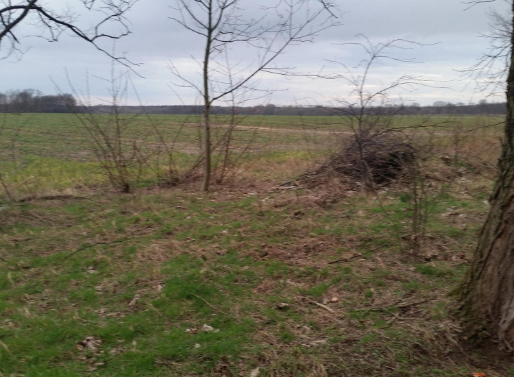 Działka Mirków Mirków