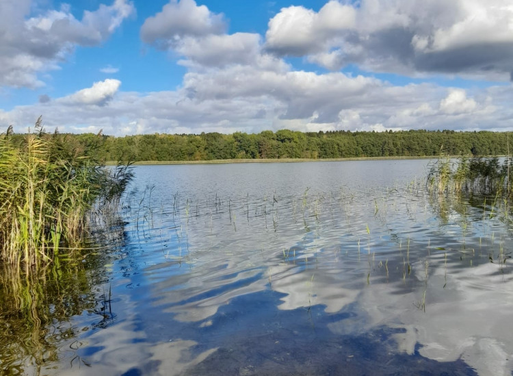 Dzialka z linia brzegową jeziora Wąsosz Wierzchowo