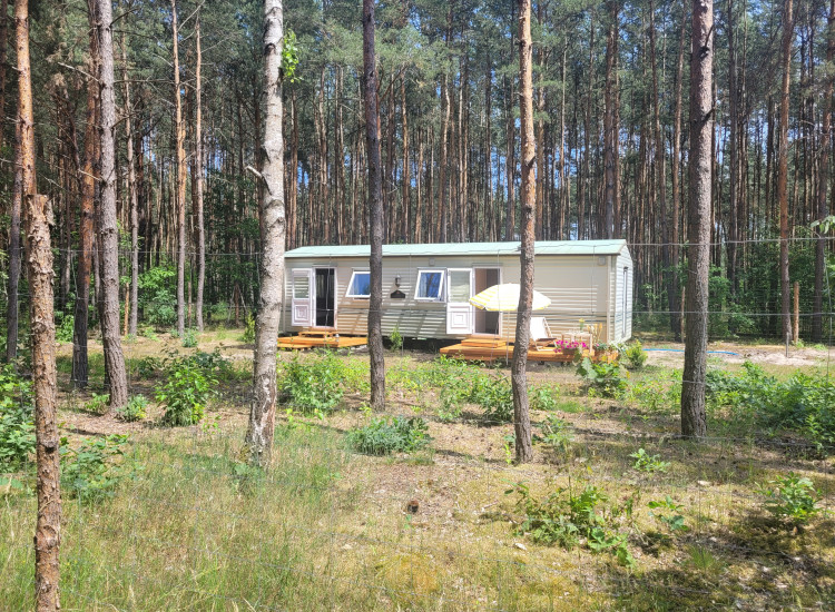 Sprzedam domek mobilny całoroczny  wraz z działką Wilga