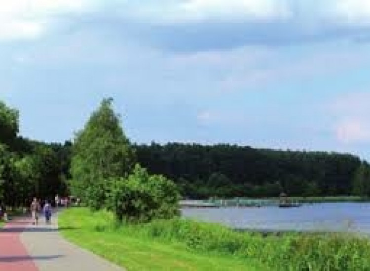 Działka z warunkami zabudowy na 5 domów Nowe Miasto-Folwark