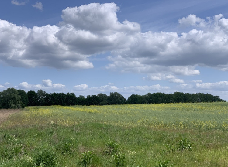 DZIAŁKA ROLNA / STOBNO / 1.22 ha Stobno