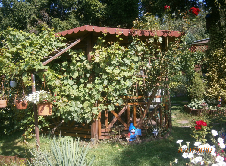 Działka W ROD "Szafirek" Olsztyn