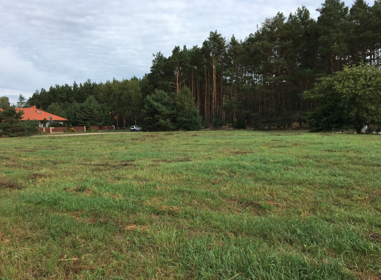 Działka budowlana nad jeziorem przy lesie Prądocin