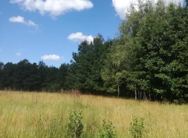 Kolonia Garbatówka, działka rolna, 3,18 ha!! Garbatówka