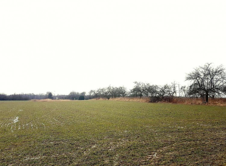 Uniszowice gm. Konopnica, 7800 m2 Uniszowice