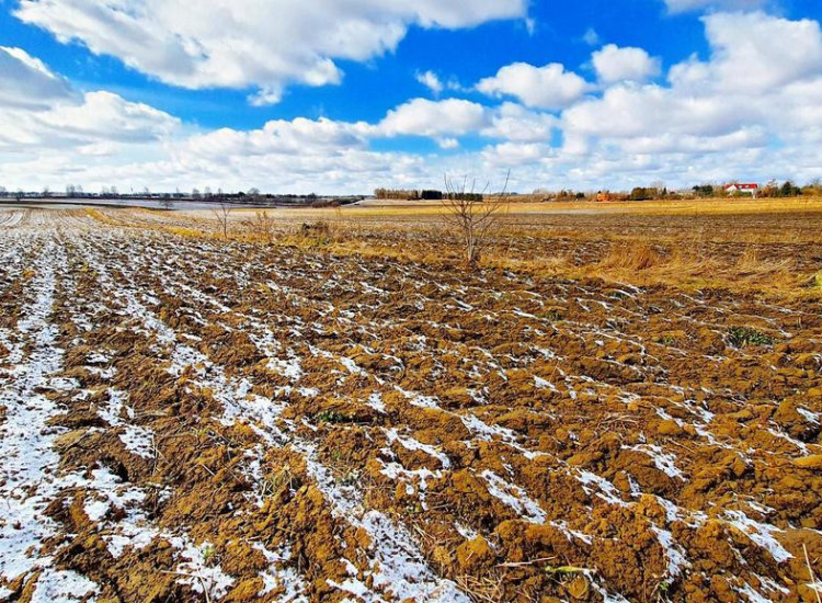 Działka budowlana Płouszowice Kolonia - 35ar Płouszowice