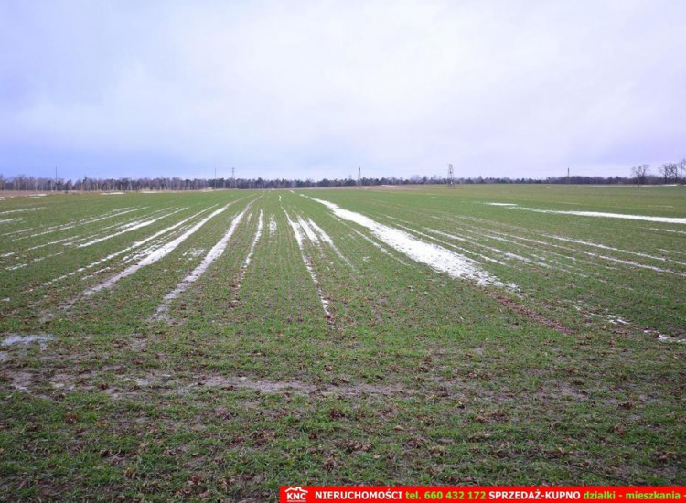 Wierciszów, działka budowlana MN, media. Wierciszów