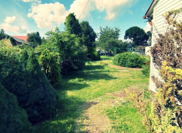 Dom na dużej działce graniczący z rz. Ciemięgą. Dys