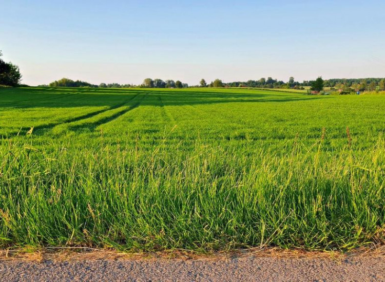 Działka 30ar nieopodal Lublina - Miłocin Miłocin