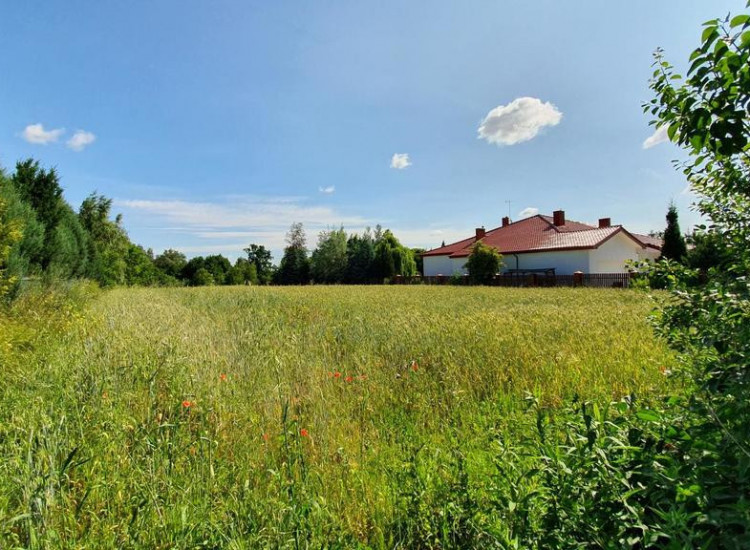 Dąbrowica, gm.Jastków. Plan zagospodarowania,media Dąbrowica