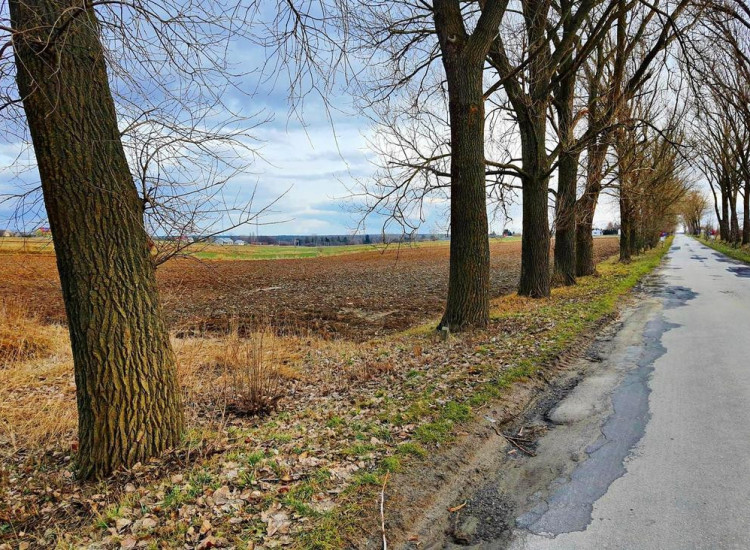 Działka inwestycyjna w Zemborzycach Kościelnych Lublin