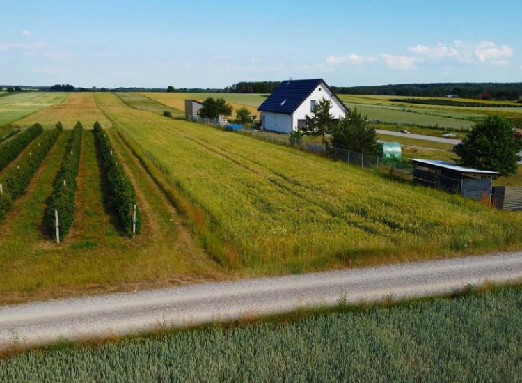 Borów Kol. Duża działka z możliwością uzyskania WZ Borów-Kolonia
