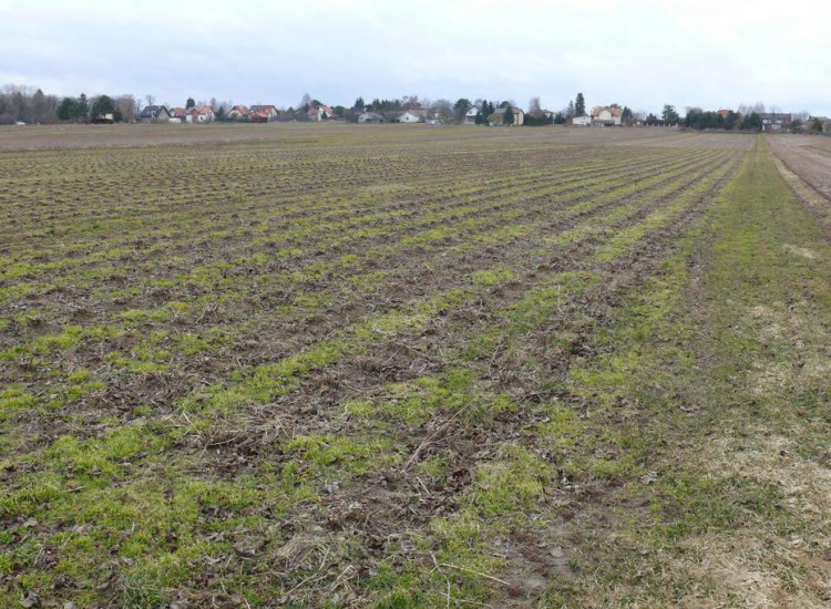 Działka w doskonałej lokalizacji-5 min. od Zalewu Lublin