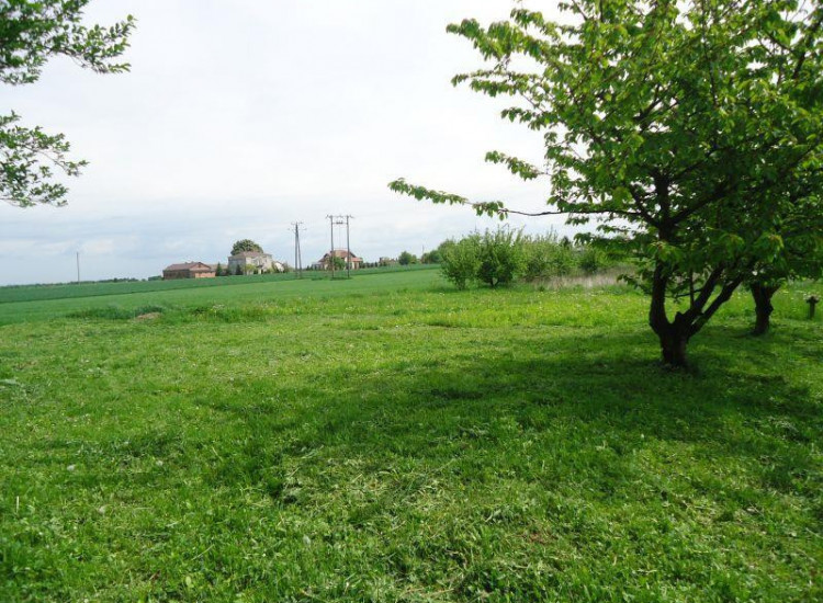 Pawlin gmina Konopnica około 12km od Lublina Pawlin