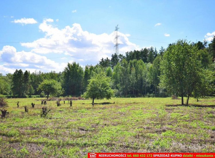 Pliszczyn, działka do wydzielenia 30-50a, rzeka. Pliszczyn
