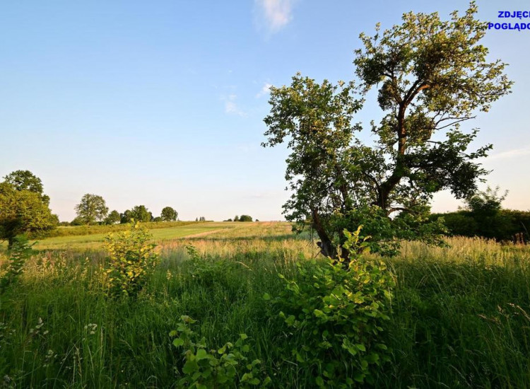 Działka doskonała pod inwestycję - Nałęczów - 14ar Nałęczów