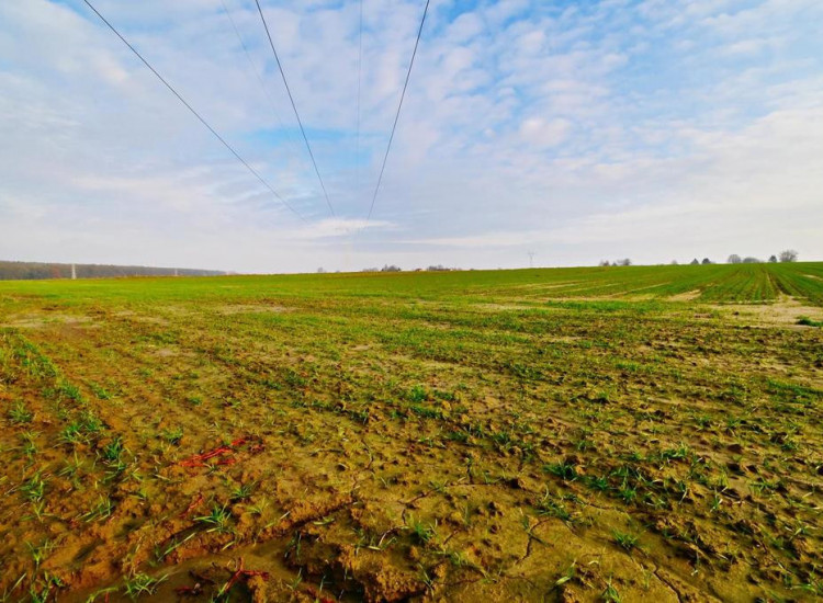 Działka rolno-budowlana - doskonała inwestycja! Zemborzyce Podleśne