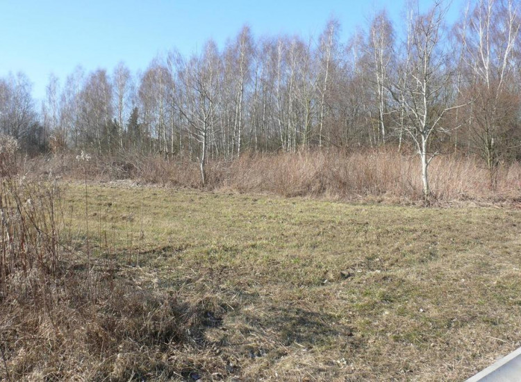 Działki budowlane w Nałęczowie. Nałęczów
