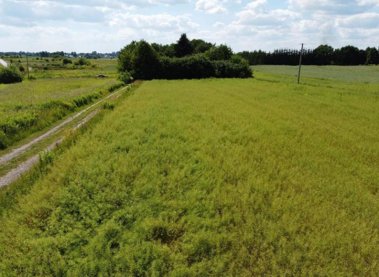 Snopków, 74ar, Gmina Jastków, Media Snopków