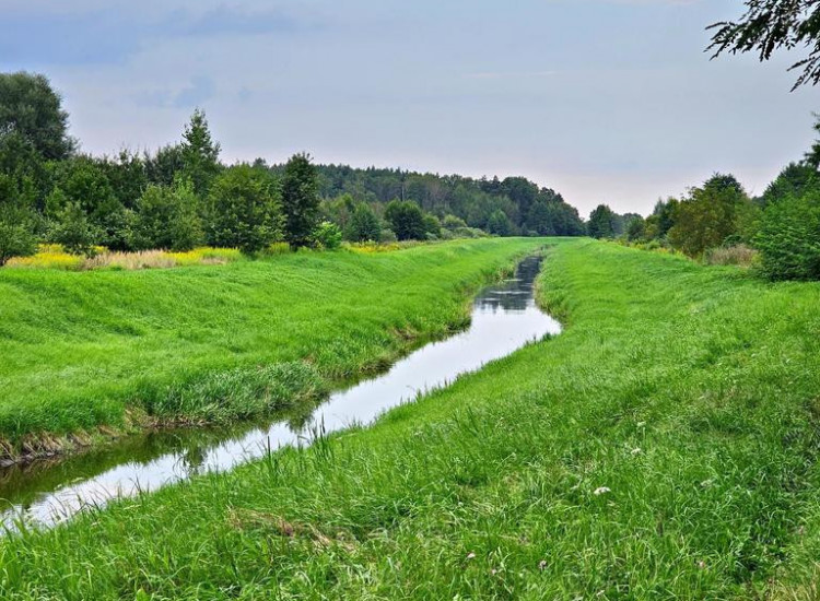 Łąki przy kanale - częściowo pod wydobycie torfu!! Dąbrowa