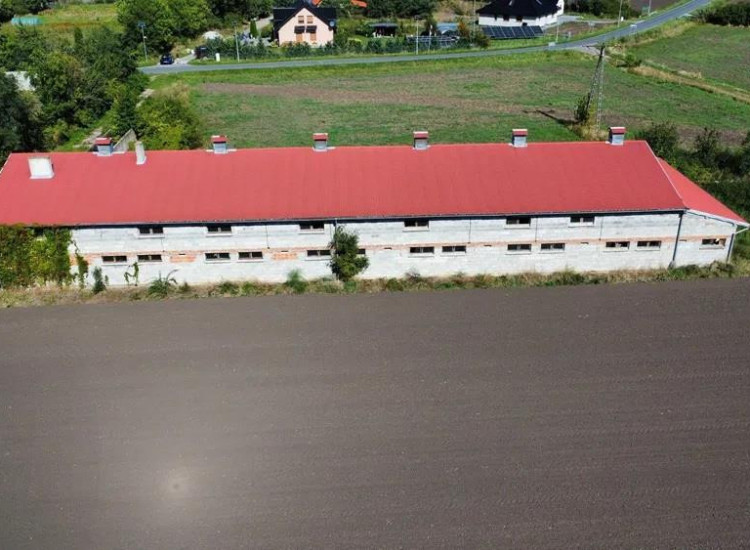 Lokal Święta Katarzyna Święta Katarzyna