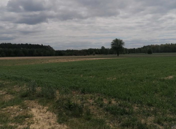 działka rolna kupujący nie musi być rolnikiem Żytno