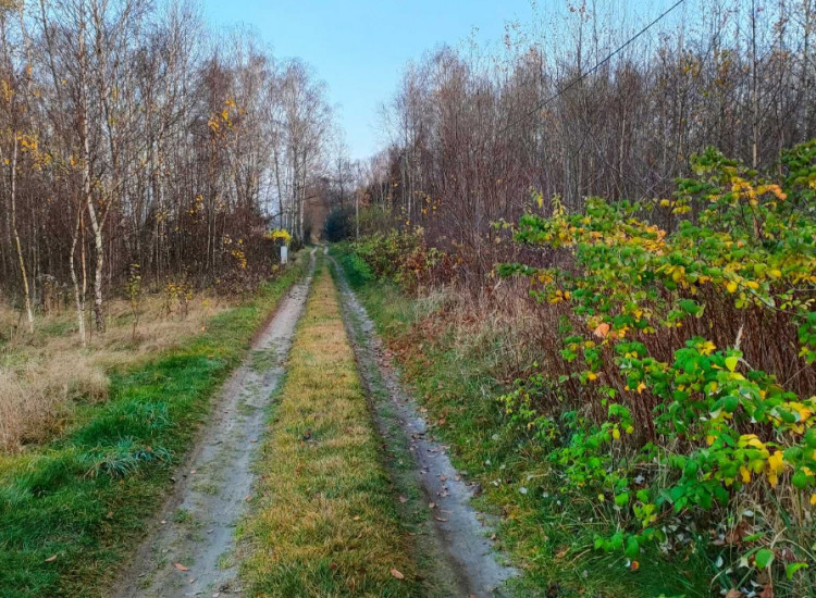 działka budowlana grodzisko gm. żytno pow. radomszczański Żytno