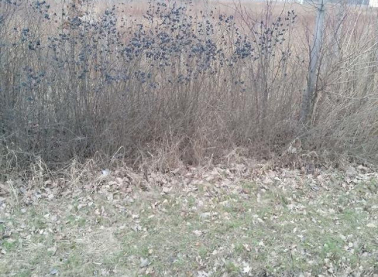 Działka Długołęka Długołęka