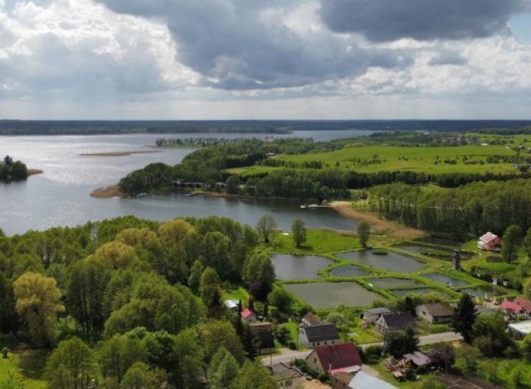 Działka 4900m2,Lubieszewo,J. Lubie,las. Lubieszewo