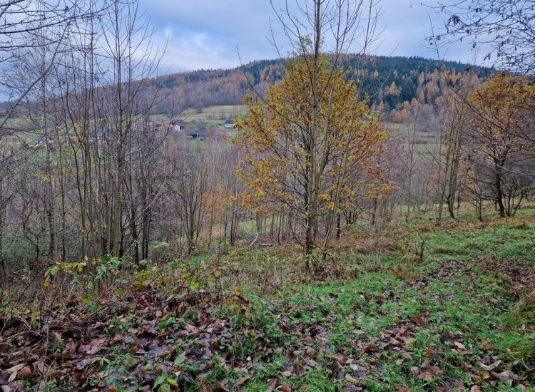 Działka Stryszawa Stryszawa