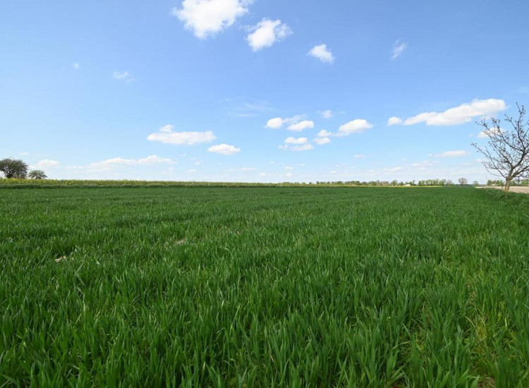 PODOLE - Działka budowlana o powierzchni 13,4 arów. Podole